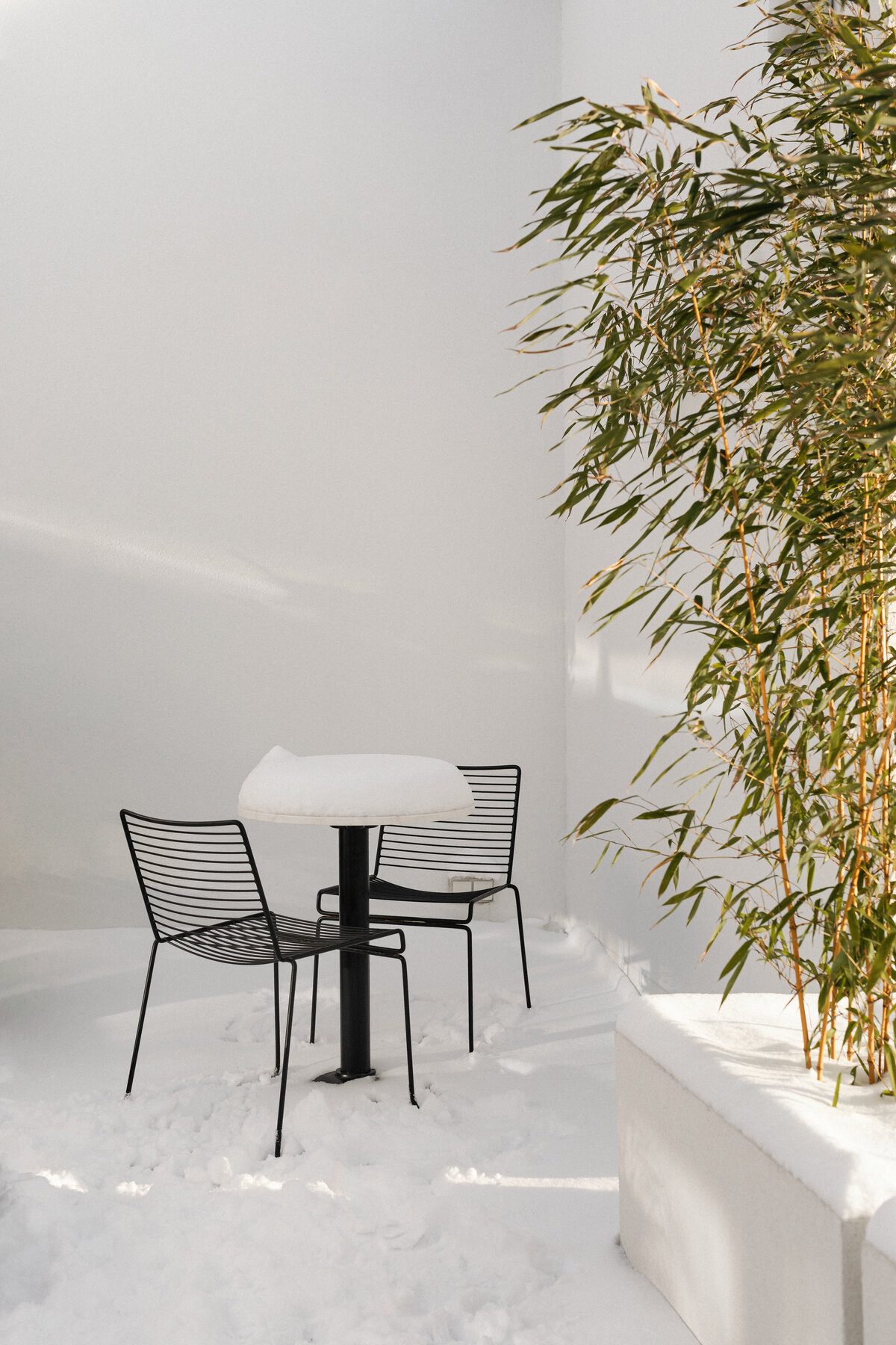 kaboompics_snowy-oasis-calm-and-cozy-winter-scenes-snow-covered-patio-and-bamboo-33954