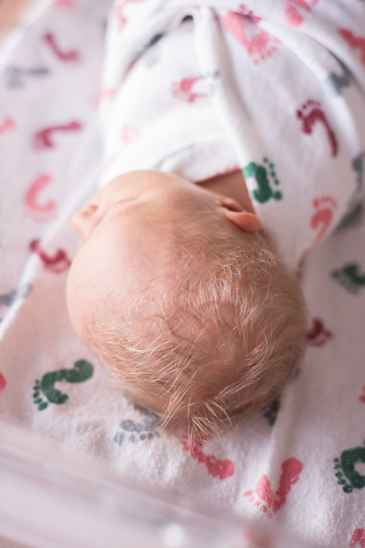 denver birth photographer + denver fresh 48 photographer + moms of alp-10