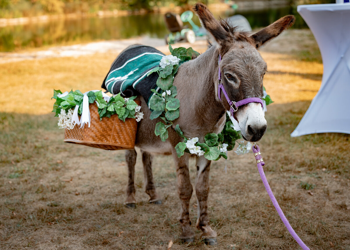 Toledo Outdoor Tent Wedding Venue