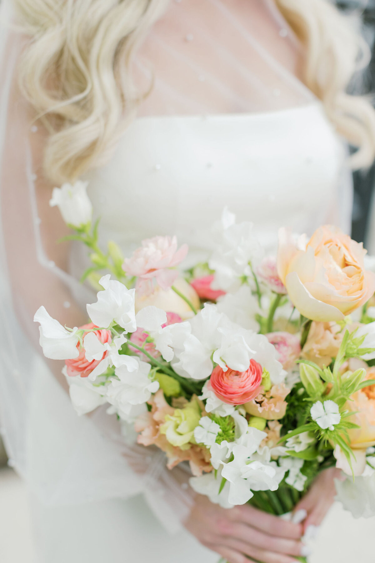 TattolliHighlights-HaleyJanePhotography4