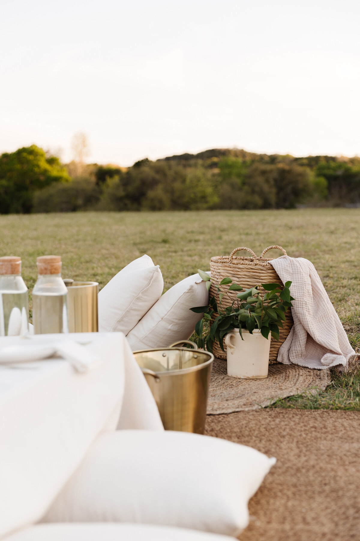 Austin Luxury Picnic - French Theme - Honey Social Picnic Co.