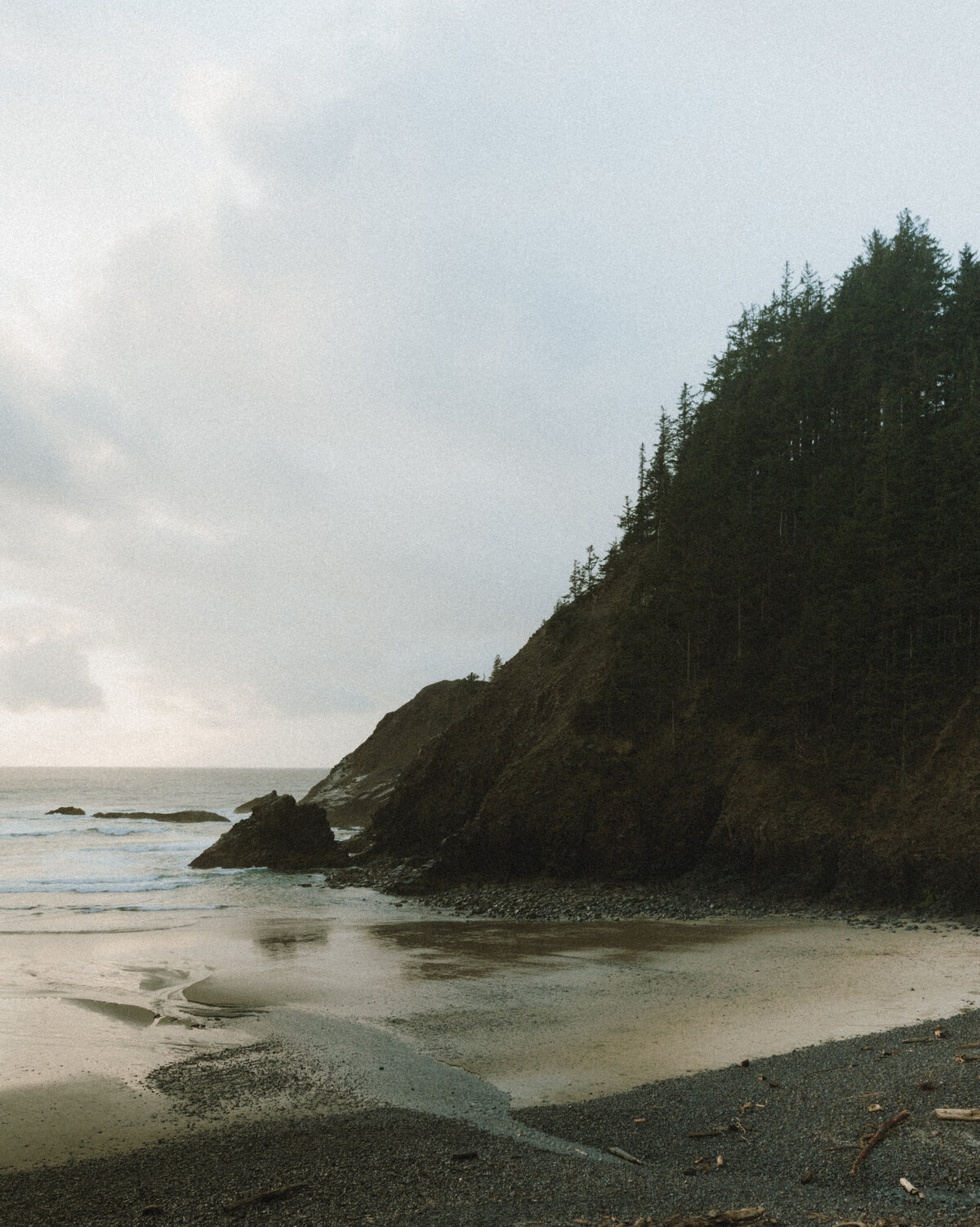 Oregon Coast Couples - lizarrietaphotography-36
