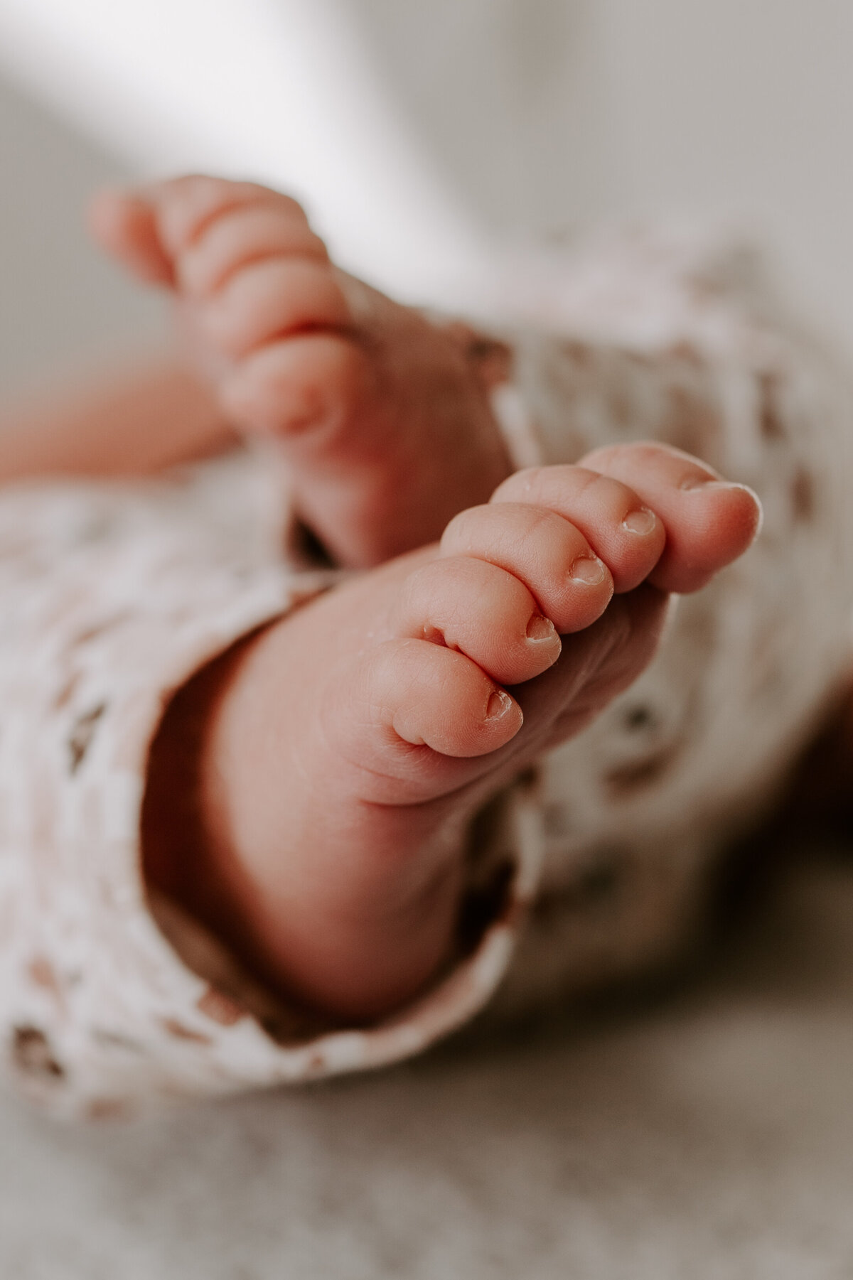 everatilroefotografie.-24