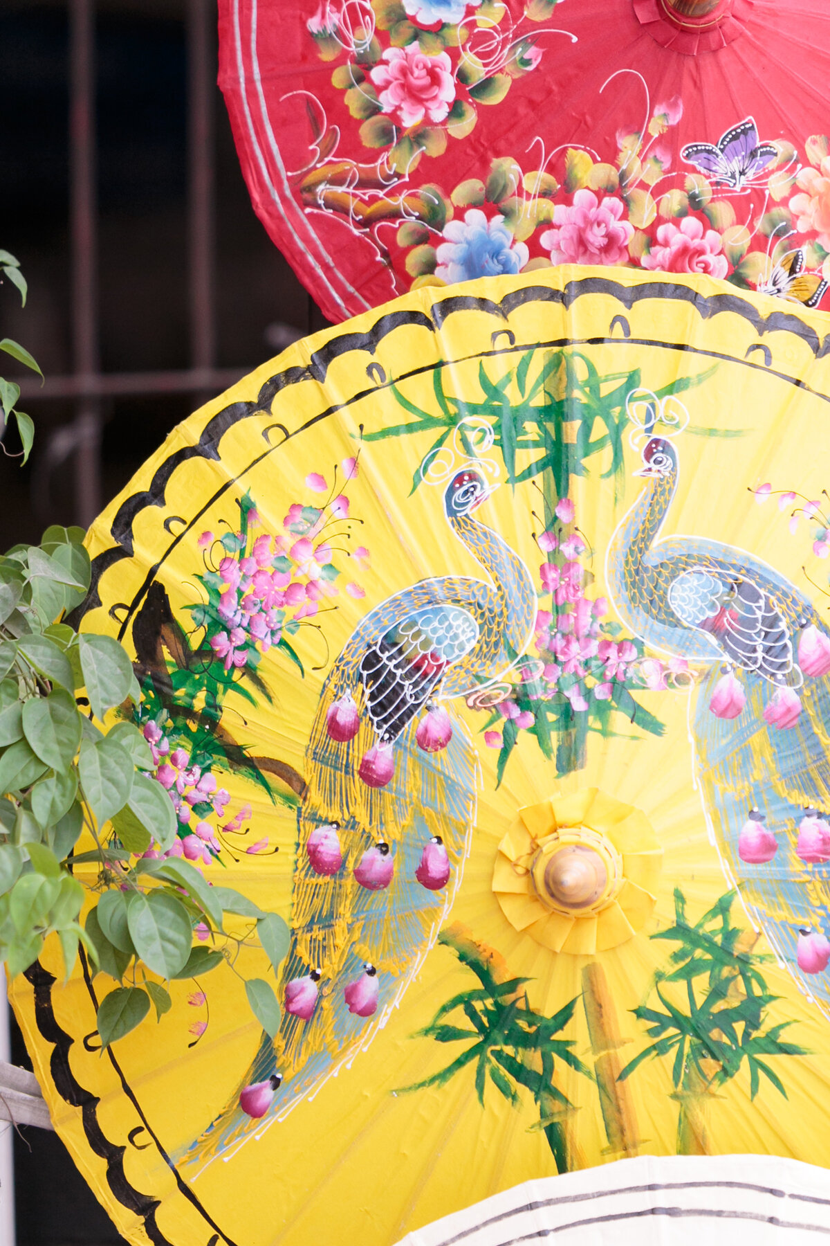 2017July-ChiangMai-Phuket-Thailand-0665
