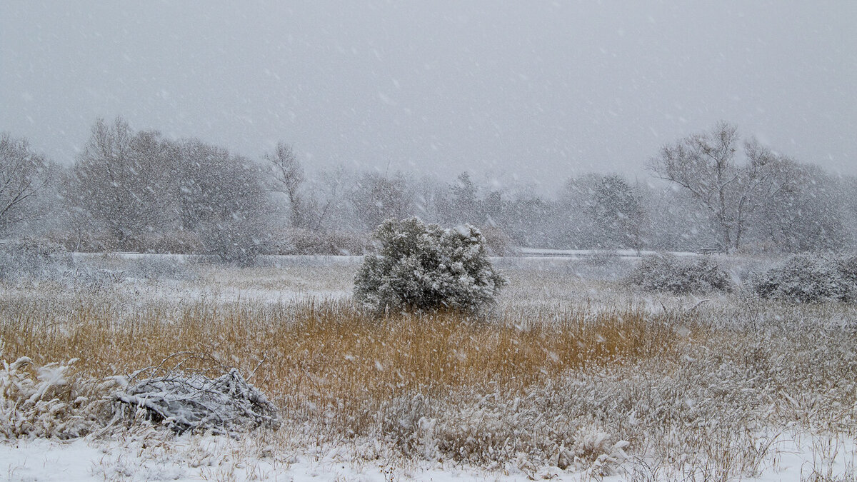 snowy-landscape