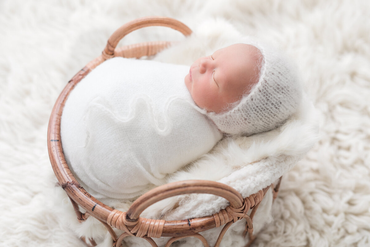 Edmonton Newborn Photographers