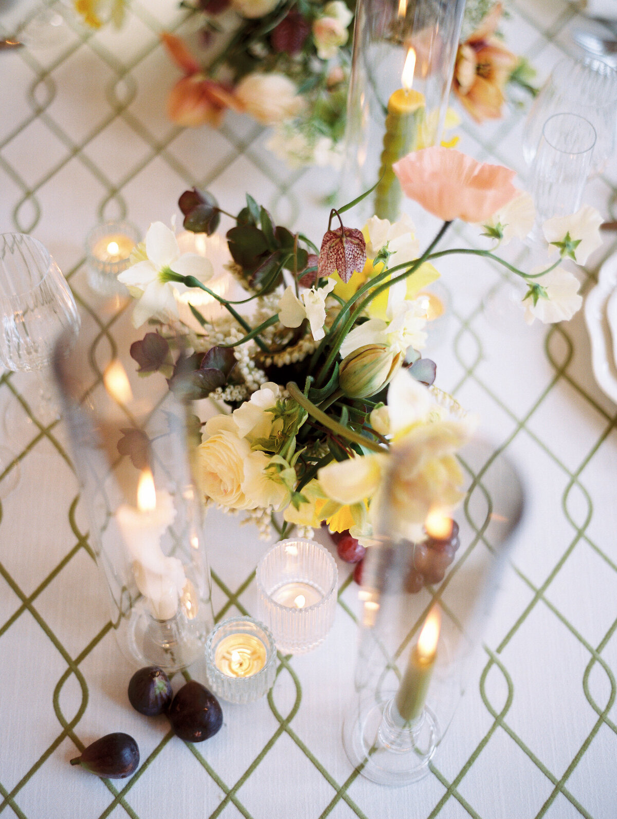 leila-brewster-photography-271