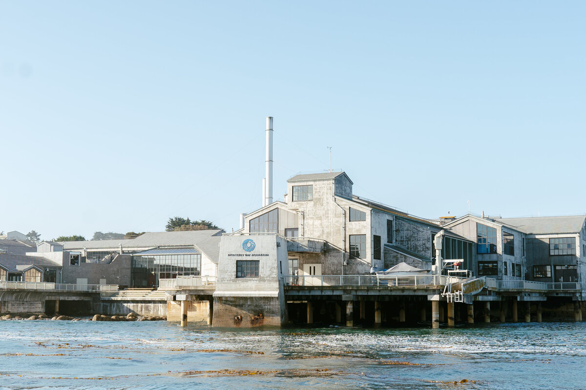 POWER_ENGINEERING_MONTEREY_BAY_AQUARIUM_PROJECT_LEFTCOASTMEDIACO-39