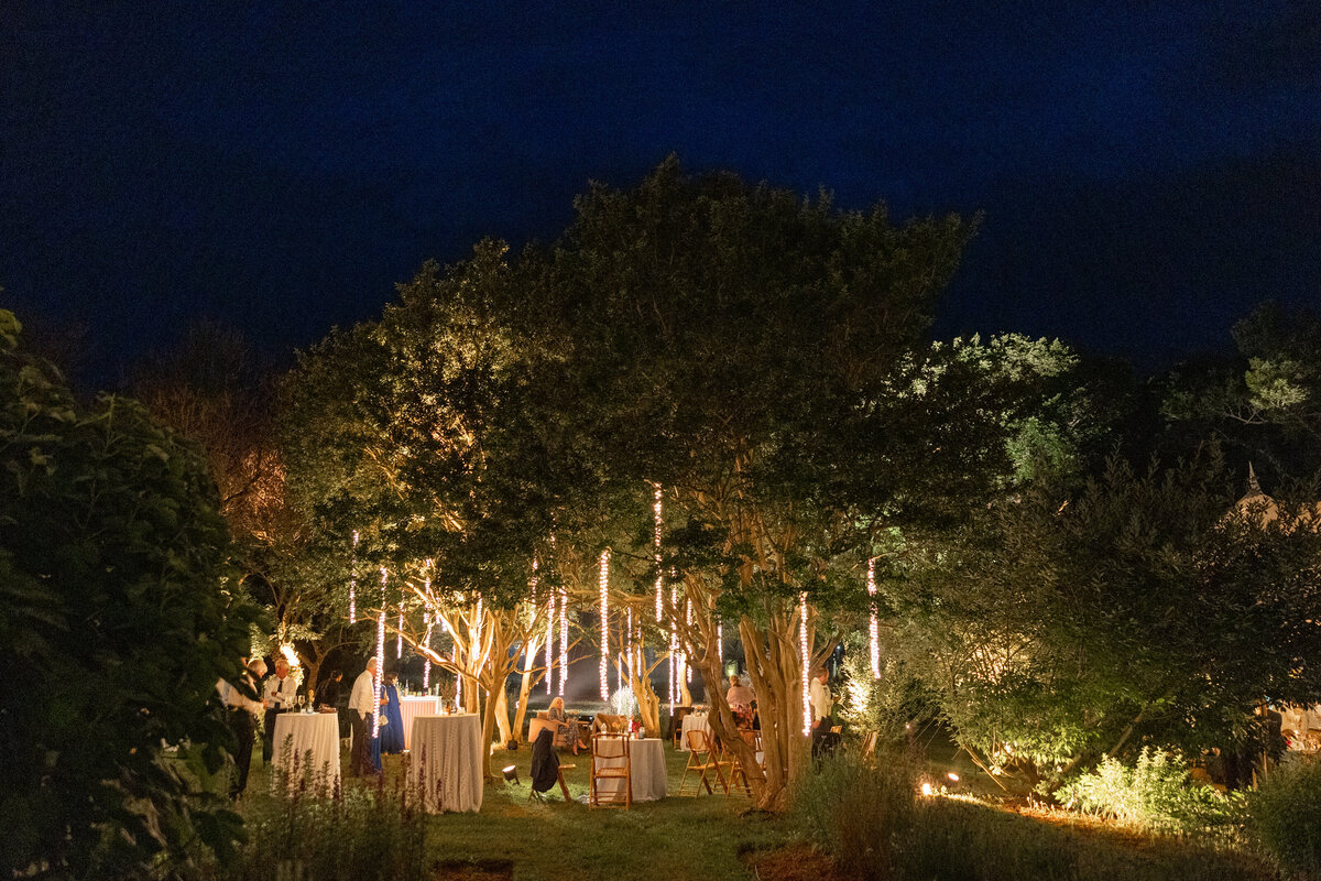 Historic-Tuckahoe-Richnond-Wedding-Planner-95