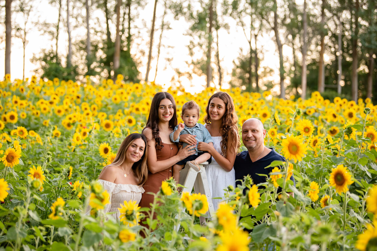 Mom and dad with their two teenage daughters and toddler son  sitting on a white ladder for their summer sunflower family photographer session in Burlington, Ontario