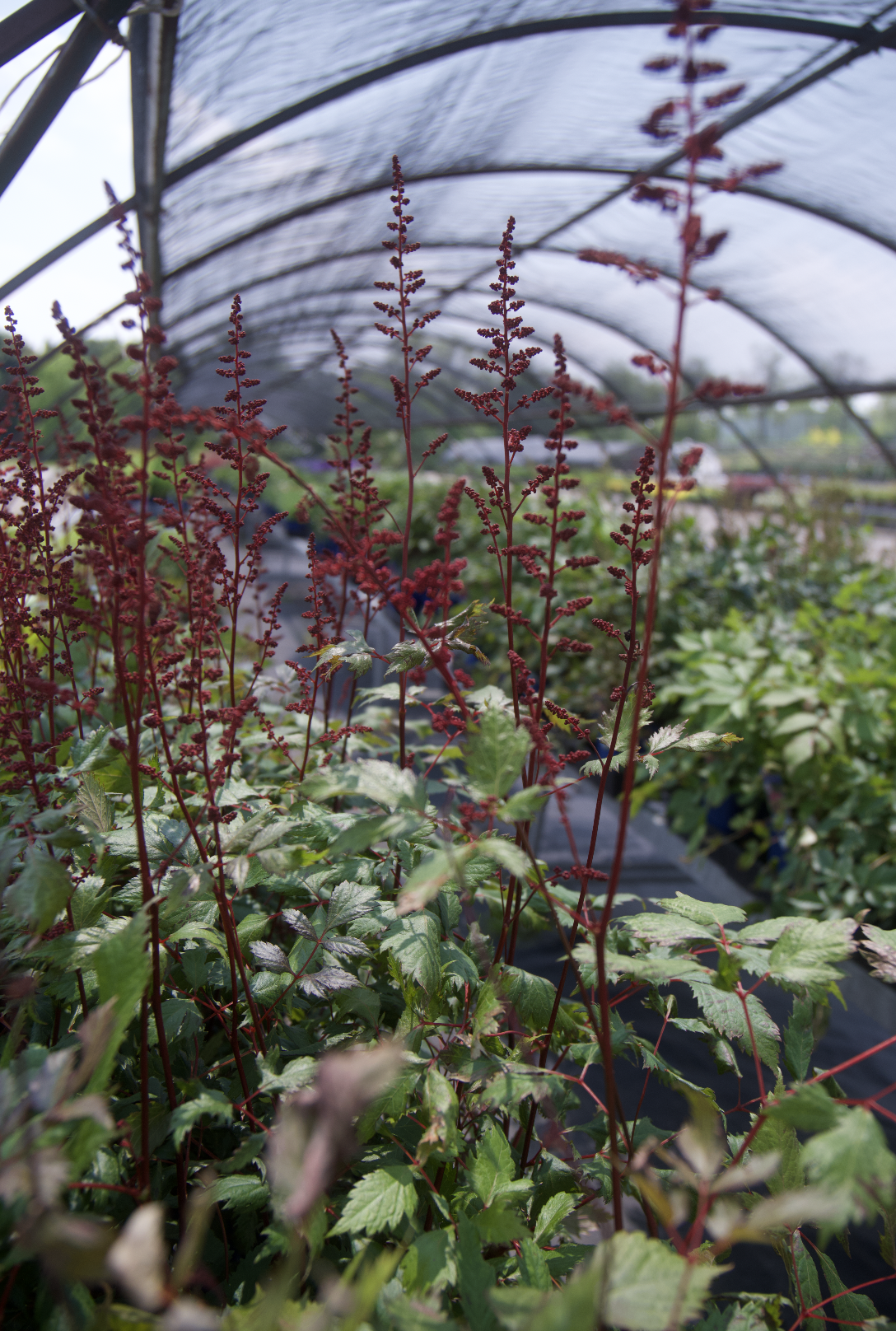 Screenshot 2025-07-21 at 12.22.39 AM