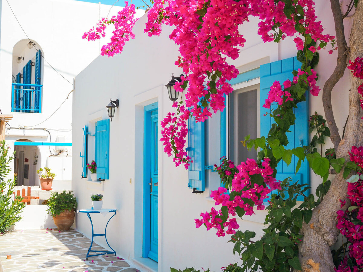 Santorini Showit Template In Flow Design Co-033