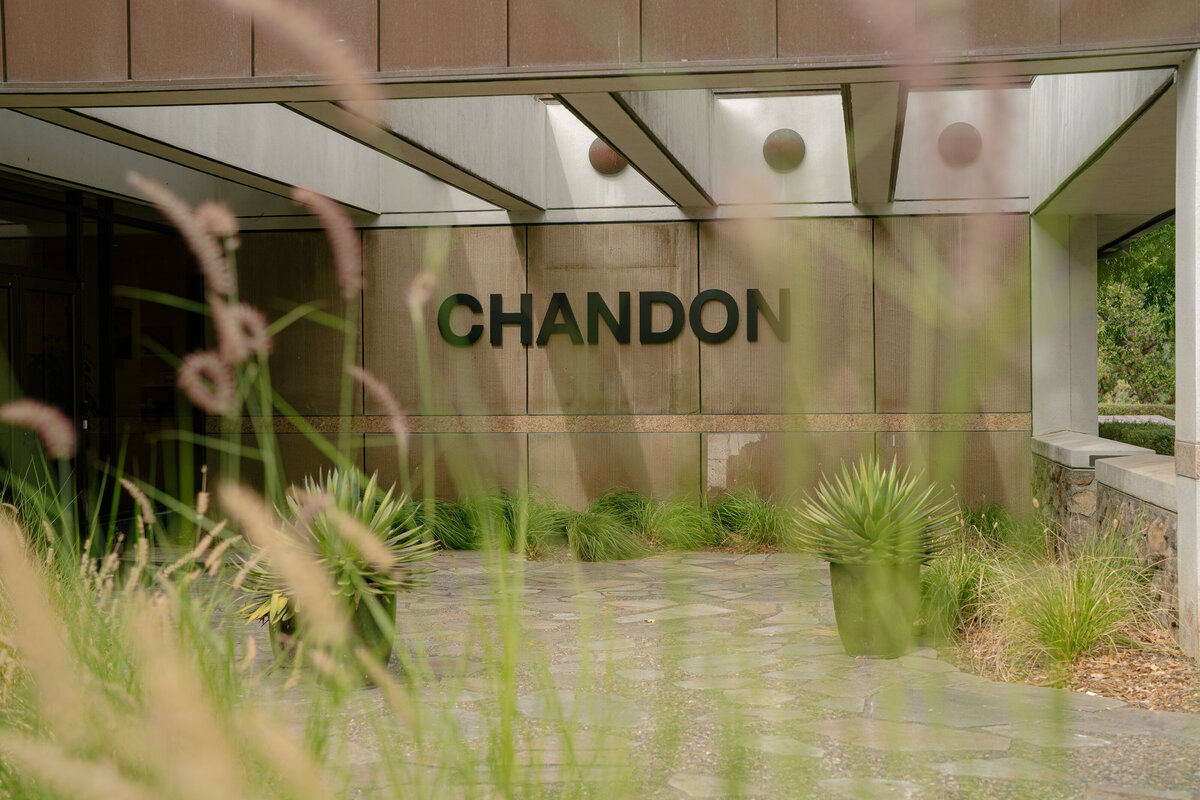 Mehndi-chandon-elizabeth-warrick-3