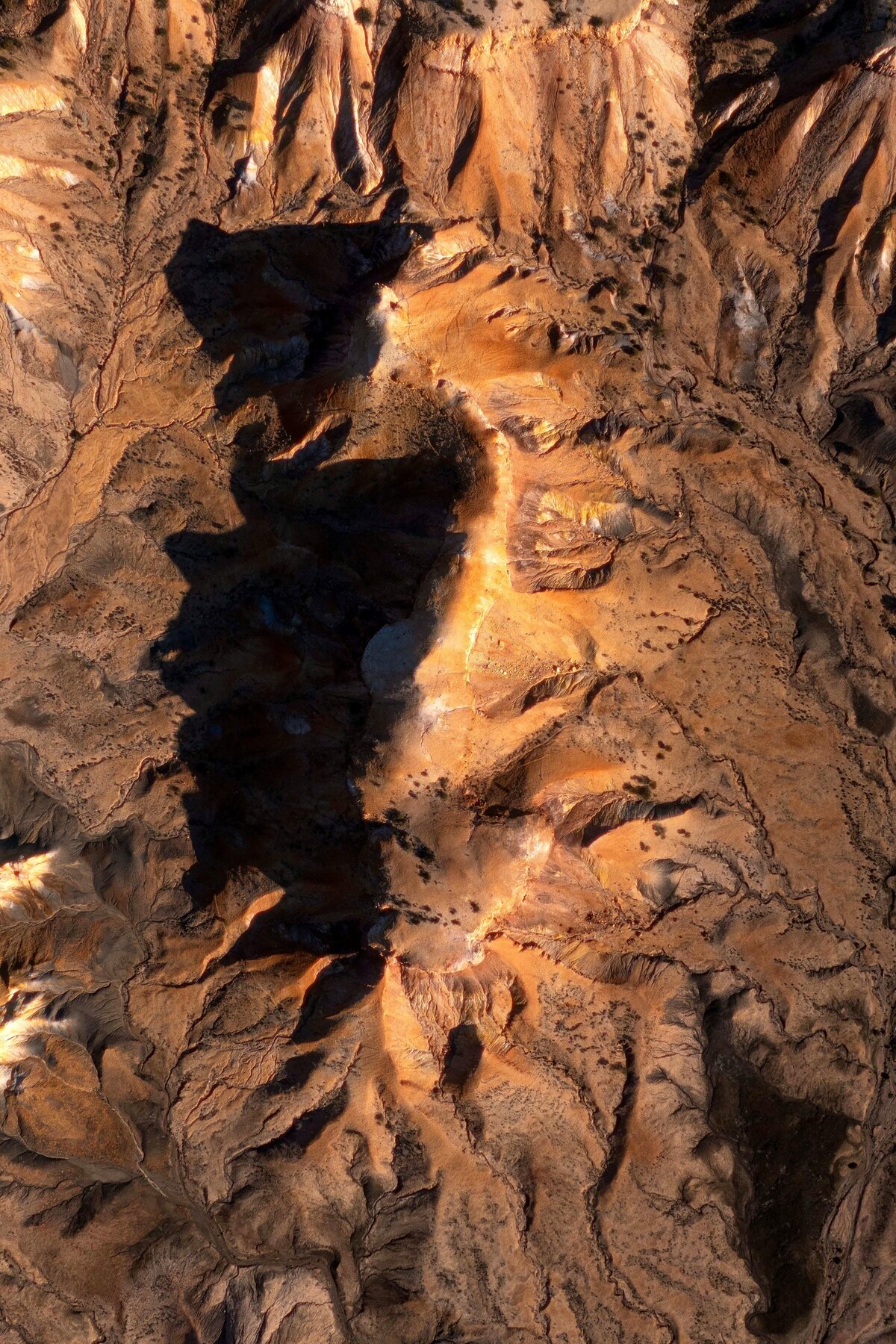 DJI_20240824212654_0275_D