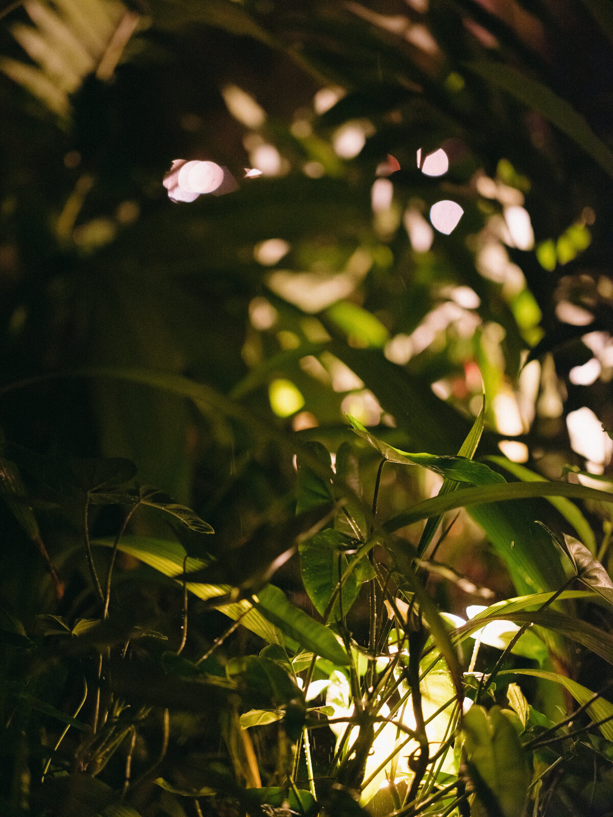 250509HANTYL-adv0054