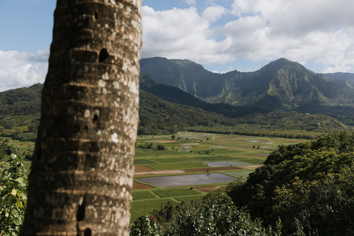 2022_0531_HD_Kauai_178 copy
