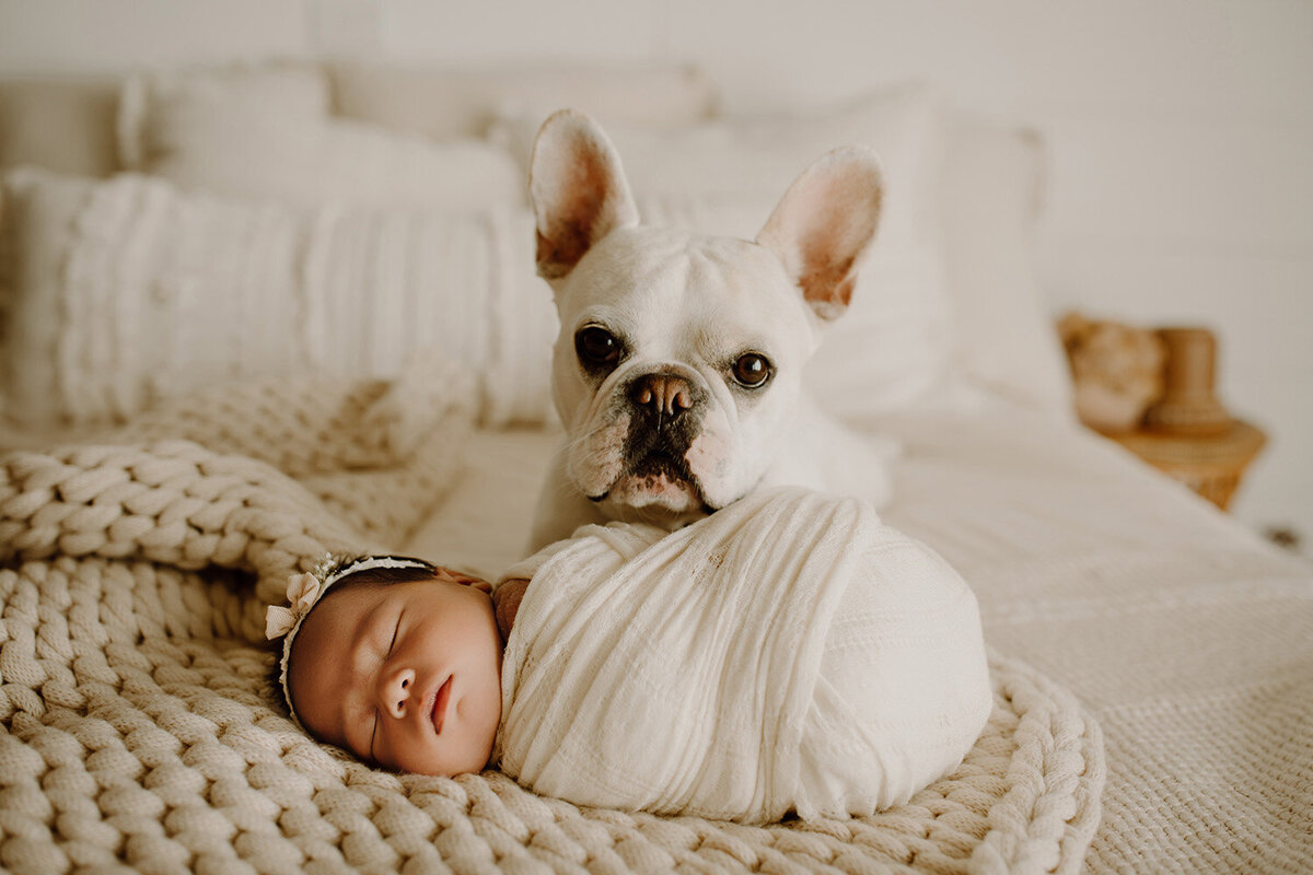 tulsa newborn photographer