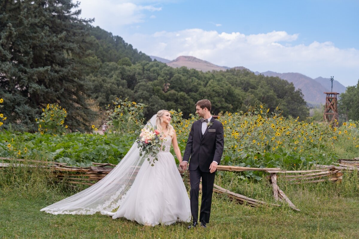 Garden sunflowers wedding rock ledge ranch