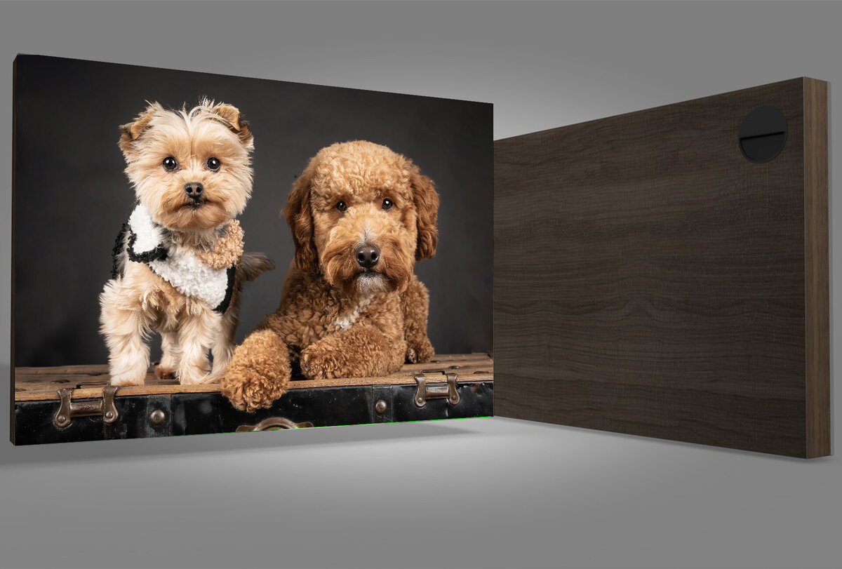wall art of 2 dogs on a trunk