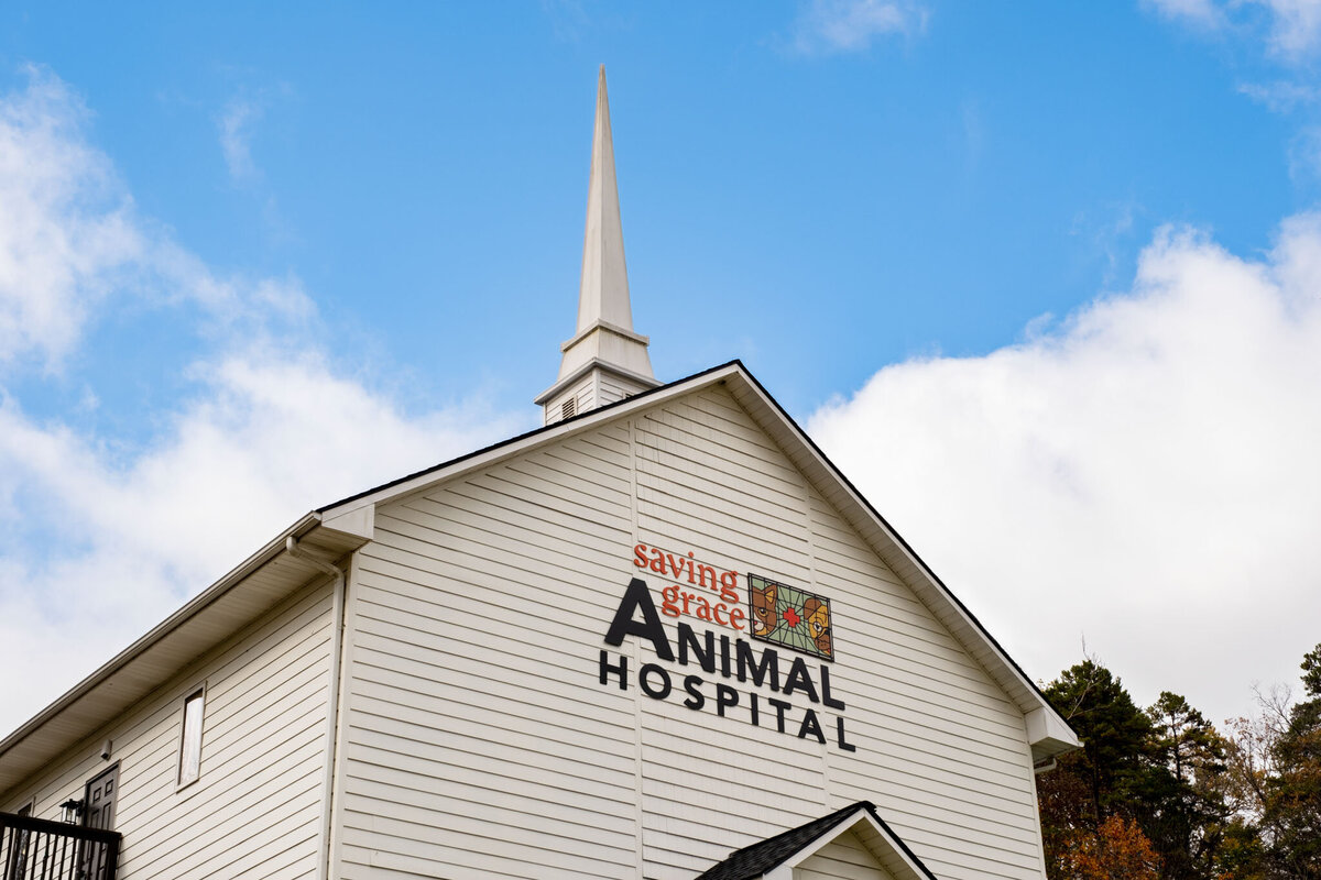 Saving Grace Animal Hospital-6
