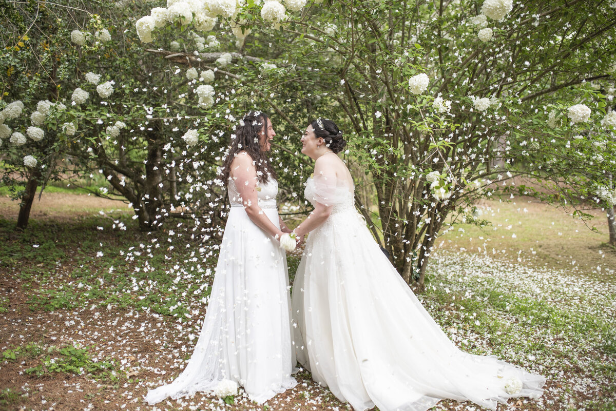 raleigh-wedding-photographer-chapel-hill-wedding-photographer (3).g