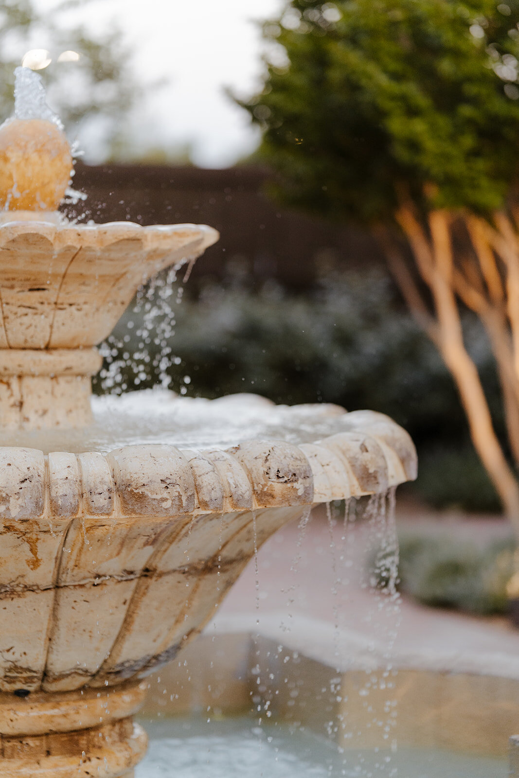 Sneak Peek-7NM Wedding Photographer