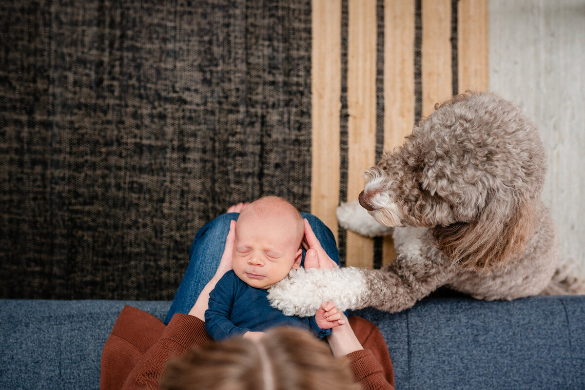 A mother sits on a couch with her newborn baby on her lap, a large fluffy dog sits beside her, placing its paw on the baby.
