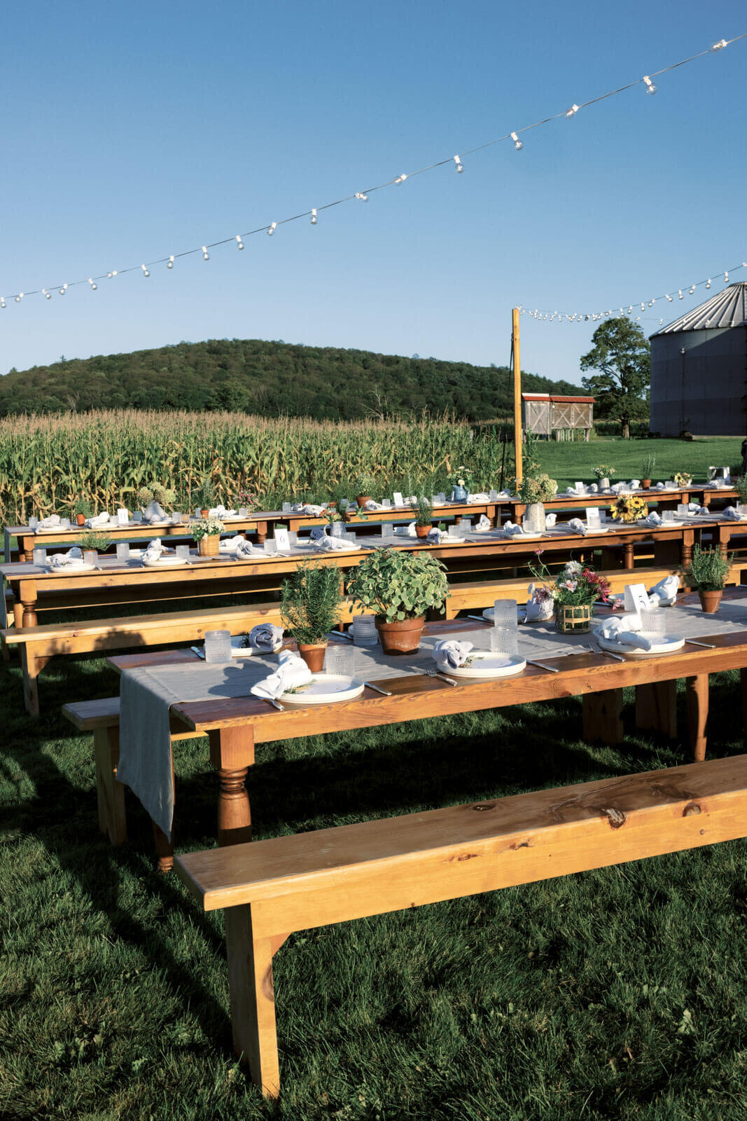 Long, rustic dining tables are set up outdoors at Lion Rock Farms, CT. Image by Jenny Fu Studio