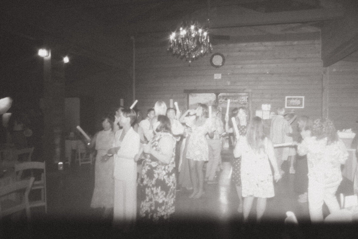 Vintage inspired wedding reception photography of guests celebrating