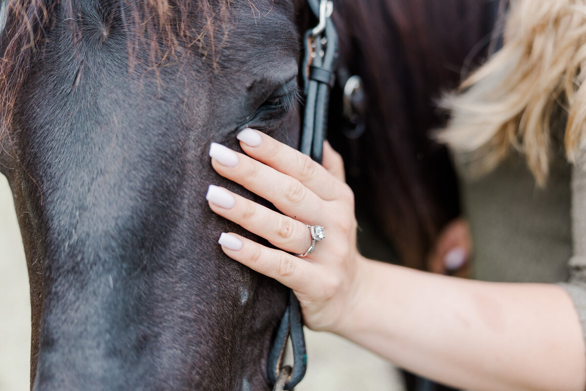 engagement-session-hutchingson-mn (140)