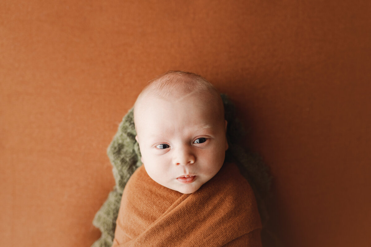 anchorage-newborn-photographer-1