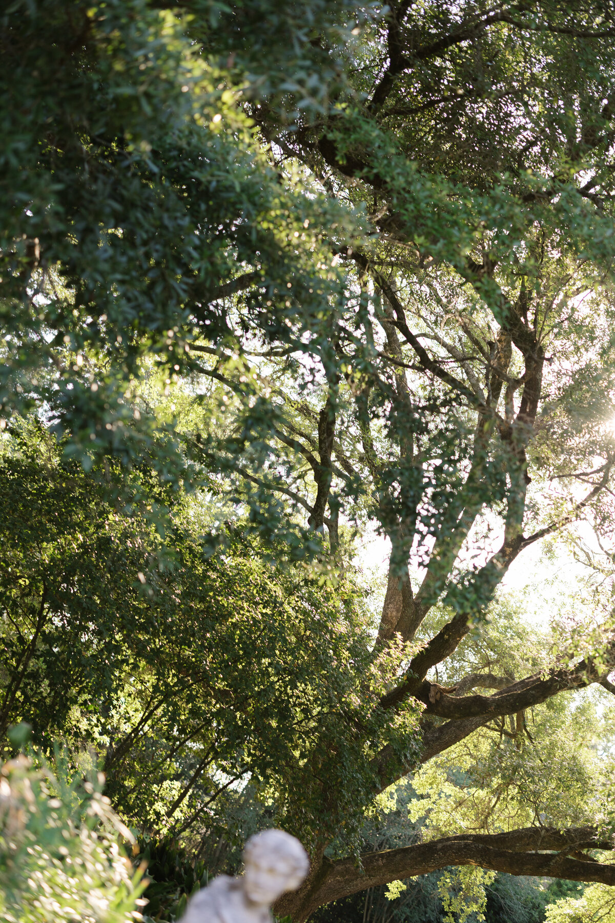 TailoredPhotos-TheMillers-60