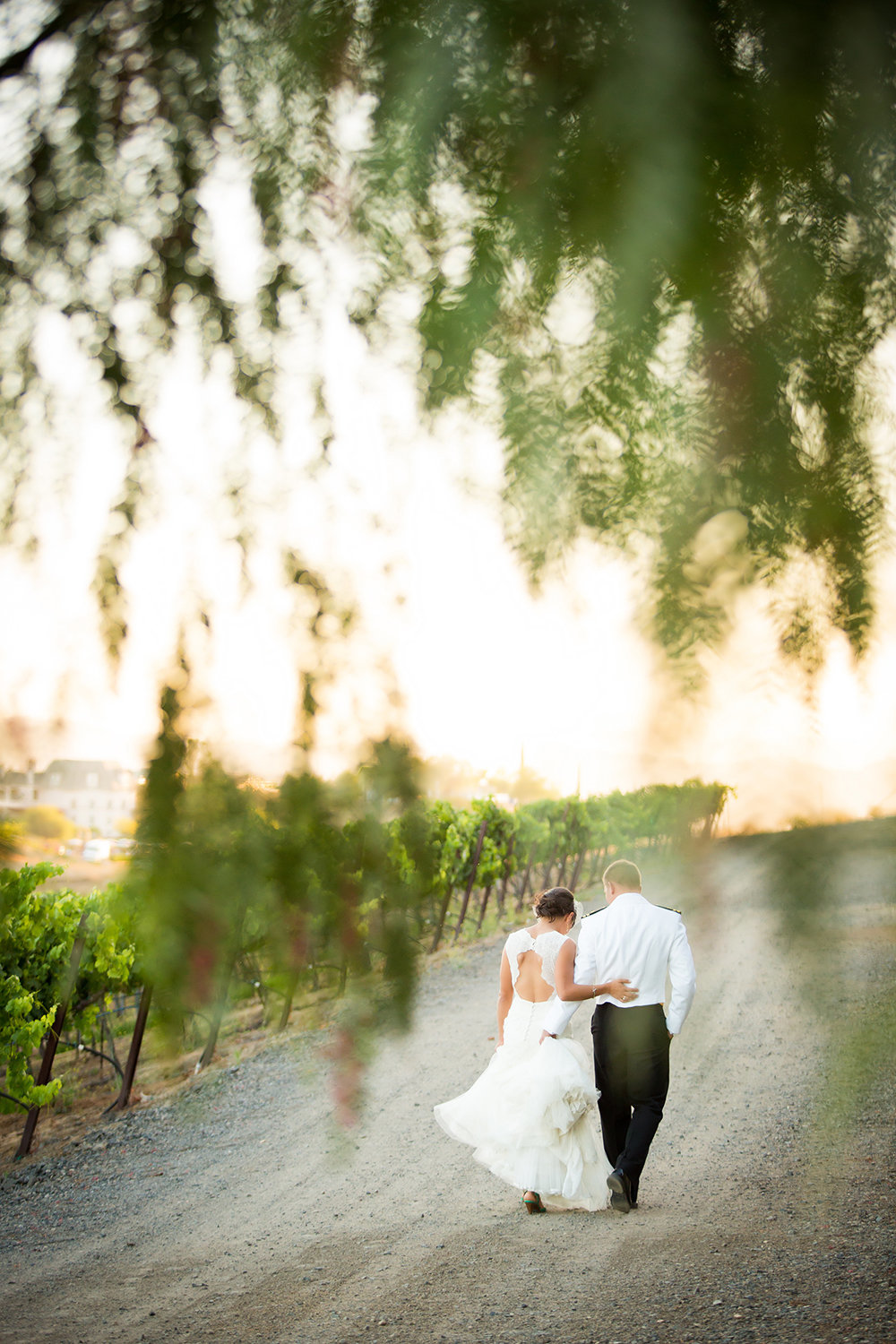 Ponte Winery wedding photos beautiful light couple walking