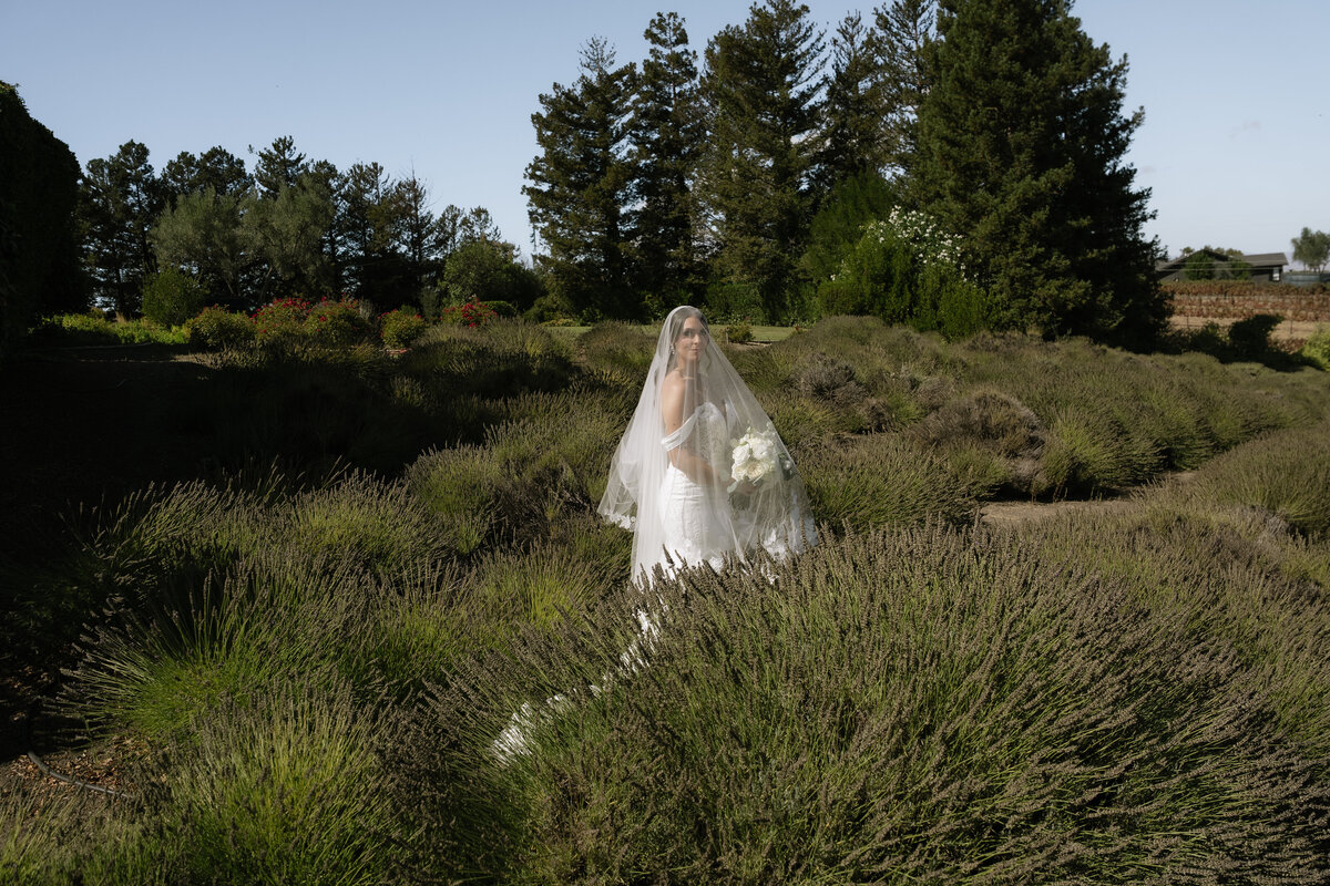 Leal Vineyards Weddinds