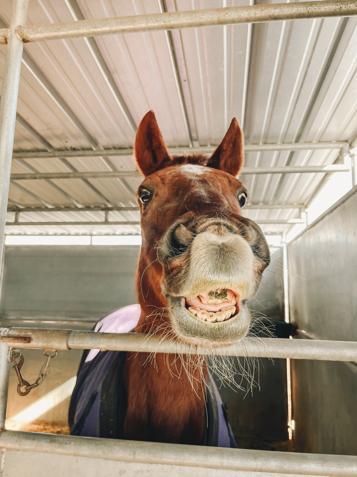 Photo Feb 09 2023, 1 52 43 PM