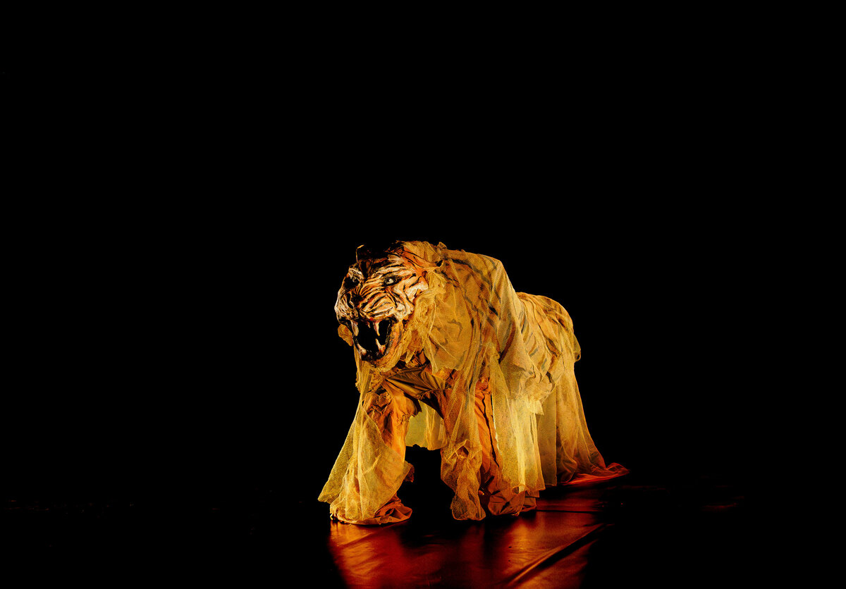 HISTOIRES INVISIBLES Le truculent exode rural des fantômes du Bengale ©Marie Charbonnier-56