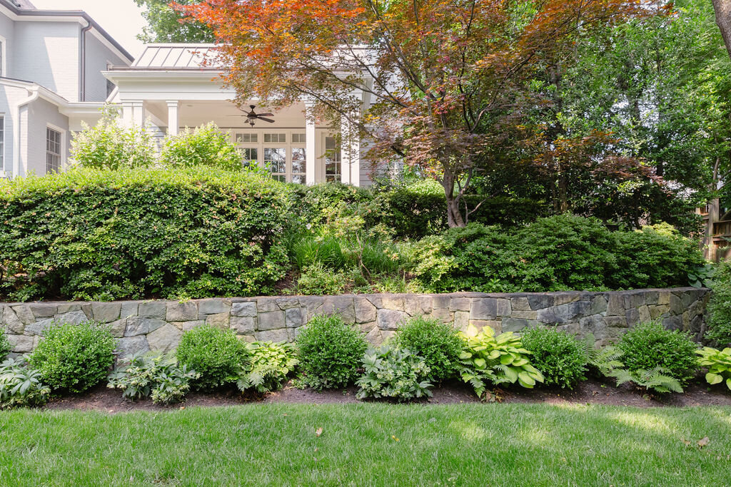native plant garden dc 12