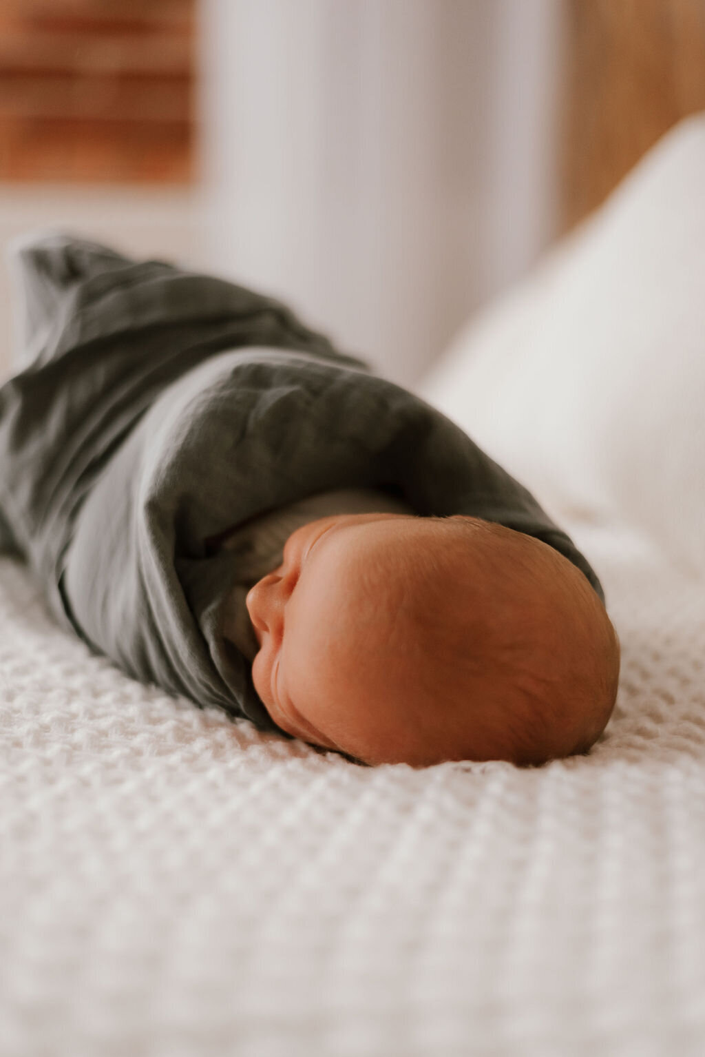 newborn portfolio image for amber lynn photography