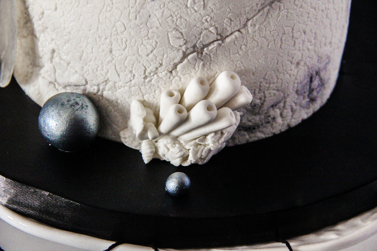 reef wedding cake coastal theme
