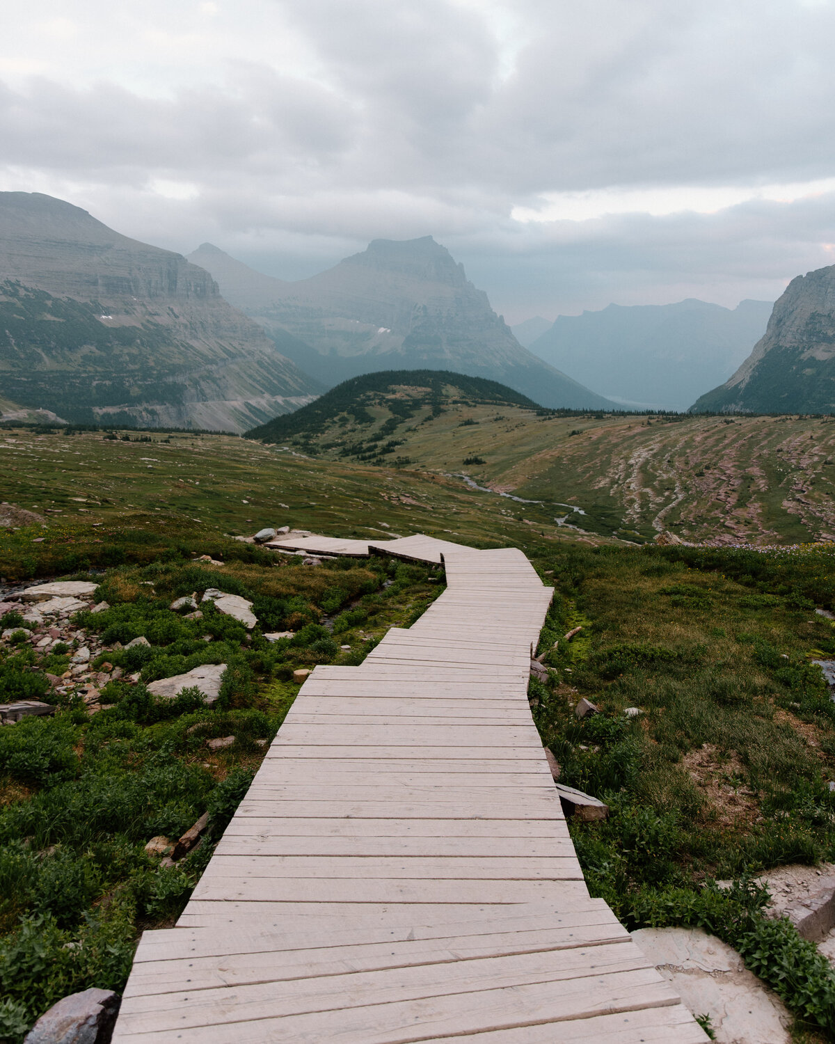 hidden_lake_boardwalk_logan_pass_glacier_national_park