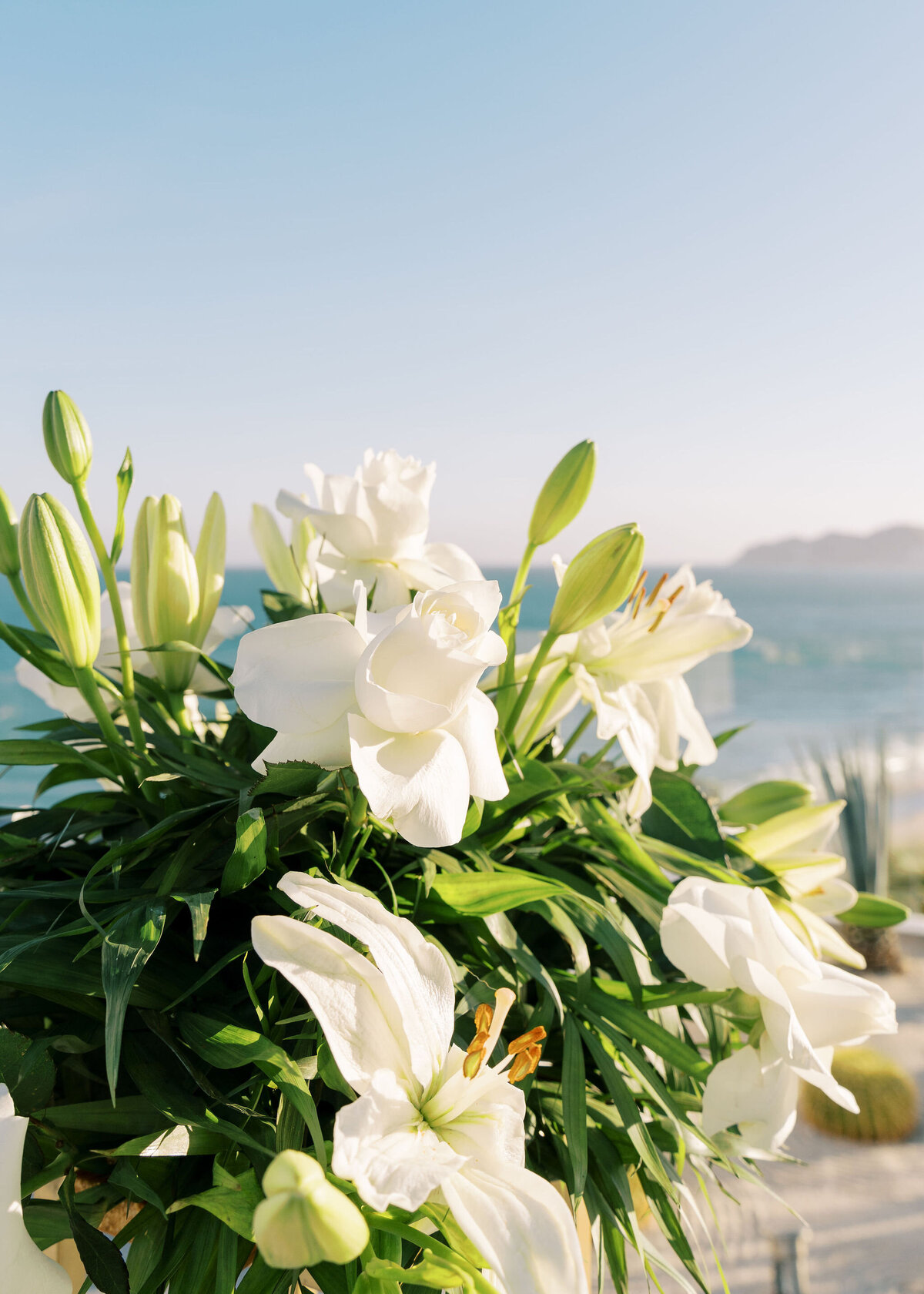 CaboSanLucasWedding-152