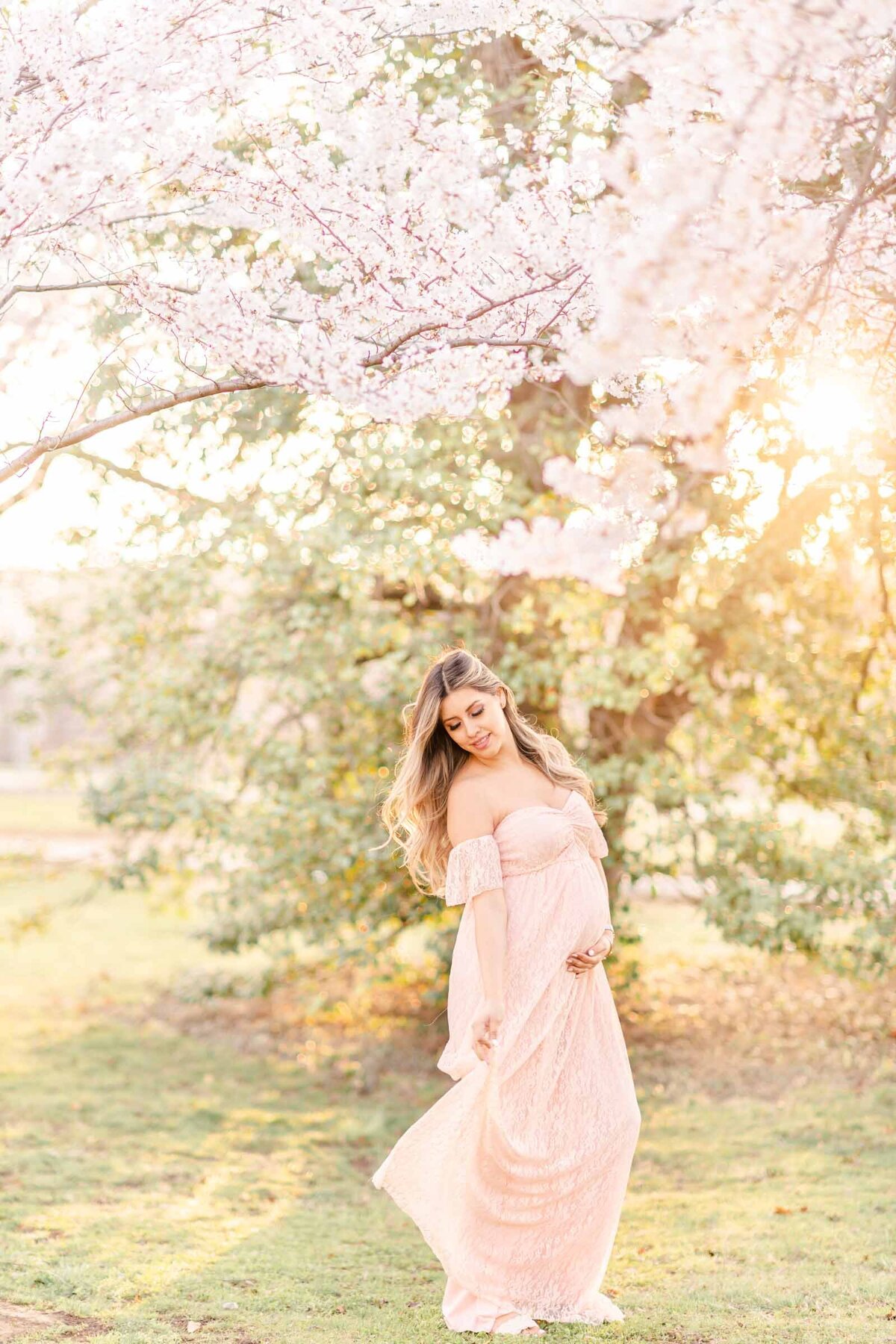 Washington DC Cherry Blossom Maternity Session - Heidi Fam Photography