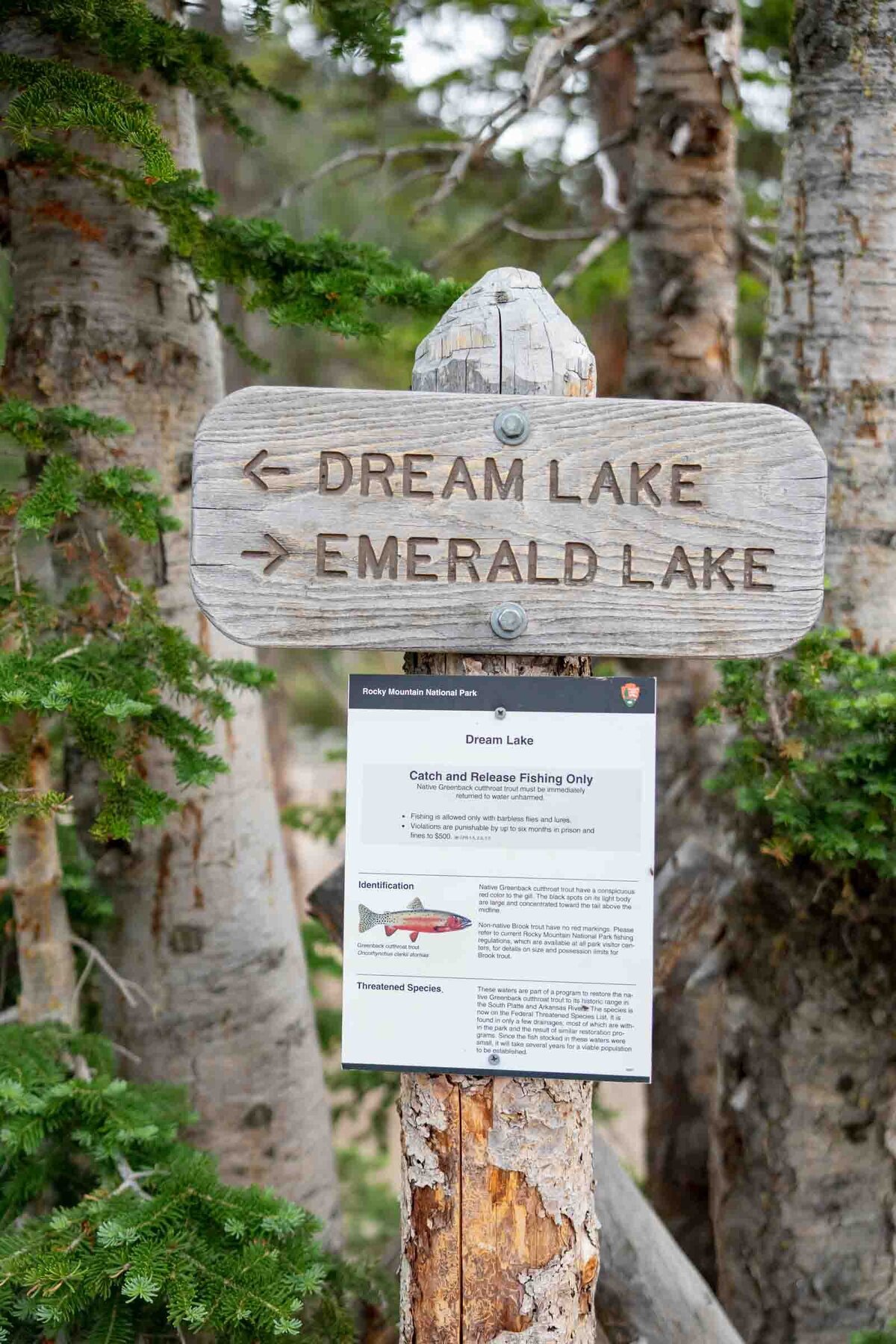 Rocky-mountain-adventure-session-38