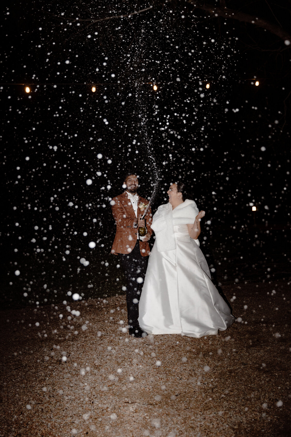 Donna Lee Photography — photo 5 of 18