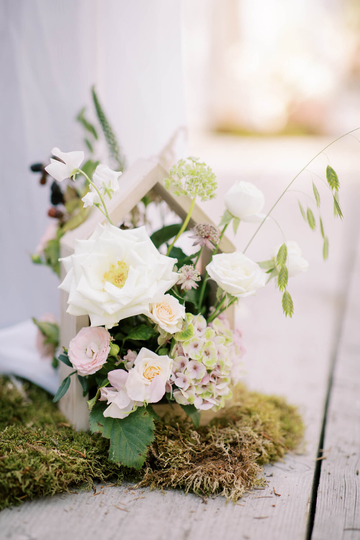 Foto's website 10