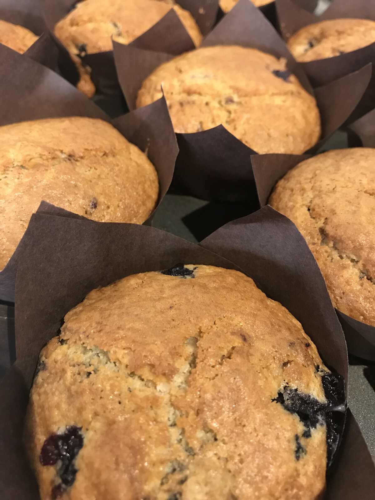 Muffins and desserts Regina SK