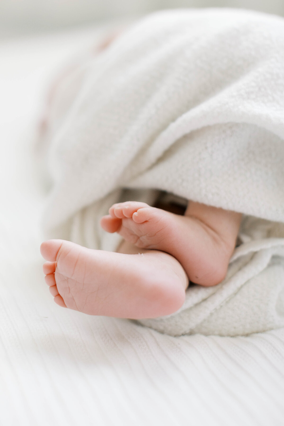 winston-salem-newborn-photographer65