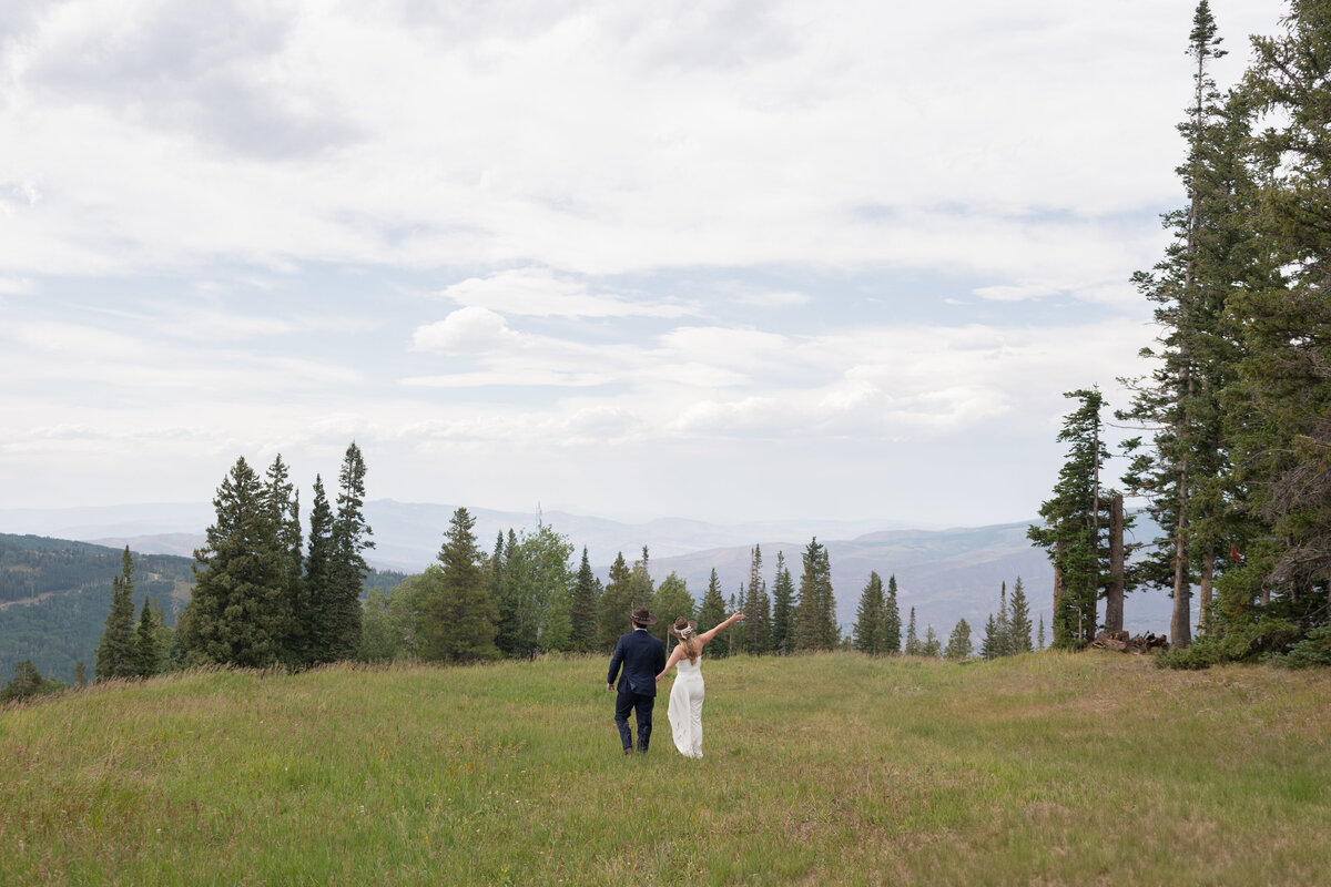 Erin & Will Wedding Digital Preview-9