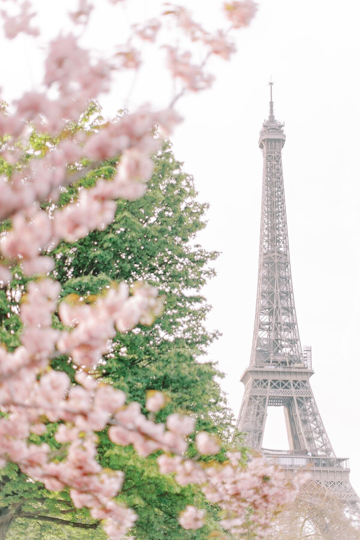 Anna-Wright-Photography-Paris-Elopement-In-Spring_0152