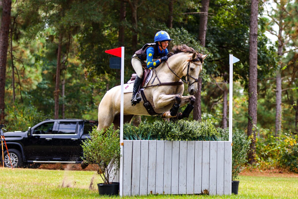 A buckskin horse jumping a cross country fence during an event at the Carolina Horse Park in Raeford, North Carolina.